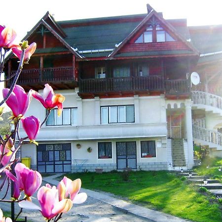 Pensiunea Amethyst Surdesti  ภายนอก รูปภาพ